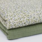 Hydrofiel blauwe bessenplant