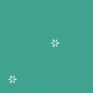 Wit bloemvormig pictogram op turquoise achtergrond met minimalistisch design