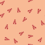 Hydrofiel kreeft perzik