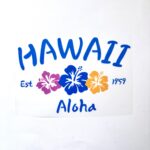 Transfer L: ‘Hawaii’